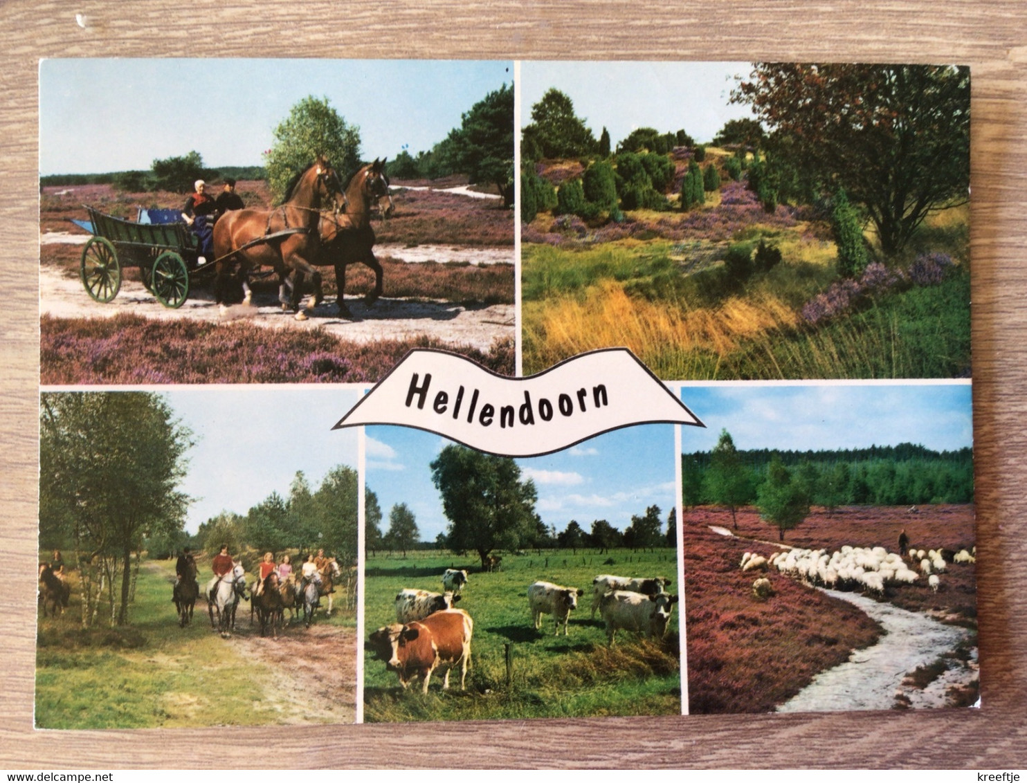 Nederland Hellendoorn - Hellendoorn