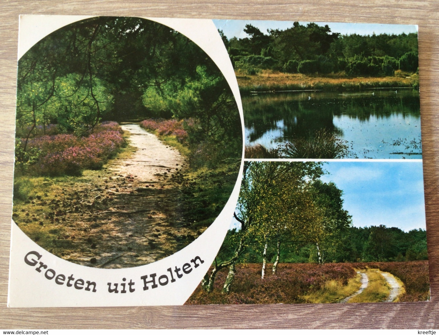 Nederland. Pays-Bas. Holland. Groeten Uit Holten. - Holten