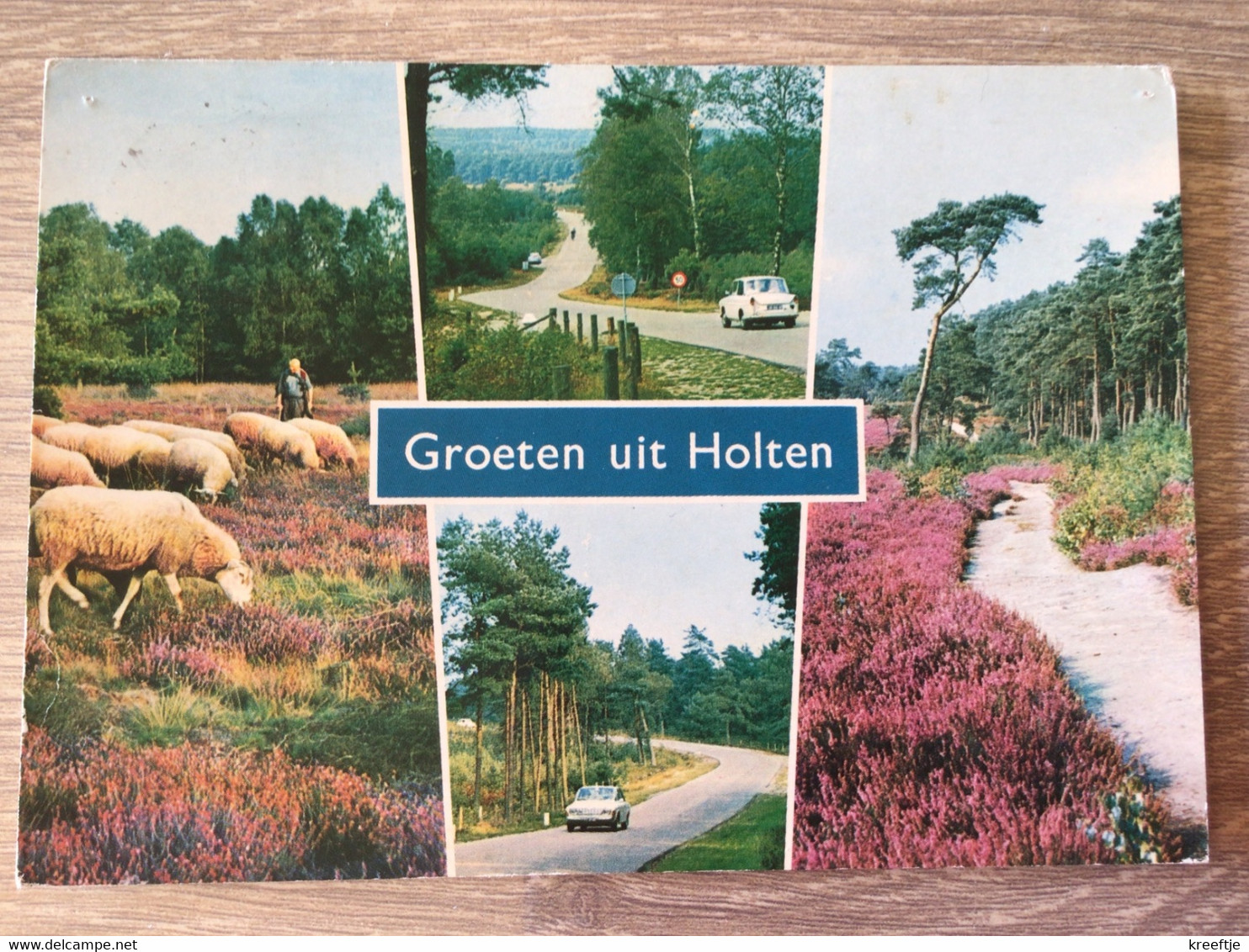 Nederland. Pays-Bas. Holland. Groeten Uit Holten. - Holten