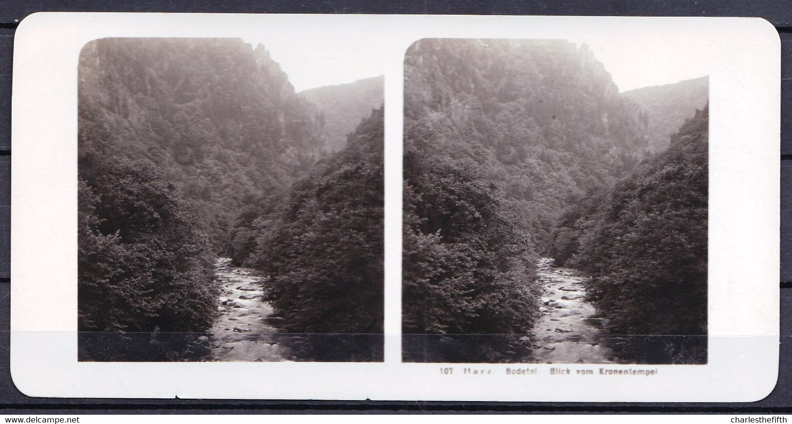 ORIGINAL STEREO PHOTO GERMANY - HARZ - ILSENBURG - BODETAL - BLICK VOM KRONENTEMPEL - SELTEN ! SACHSEN ANHALT - Anciennes (Av. 1900)