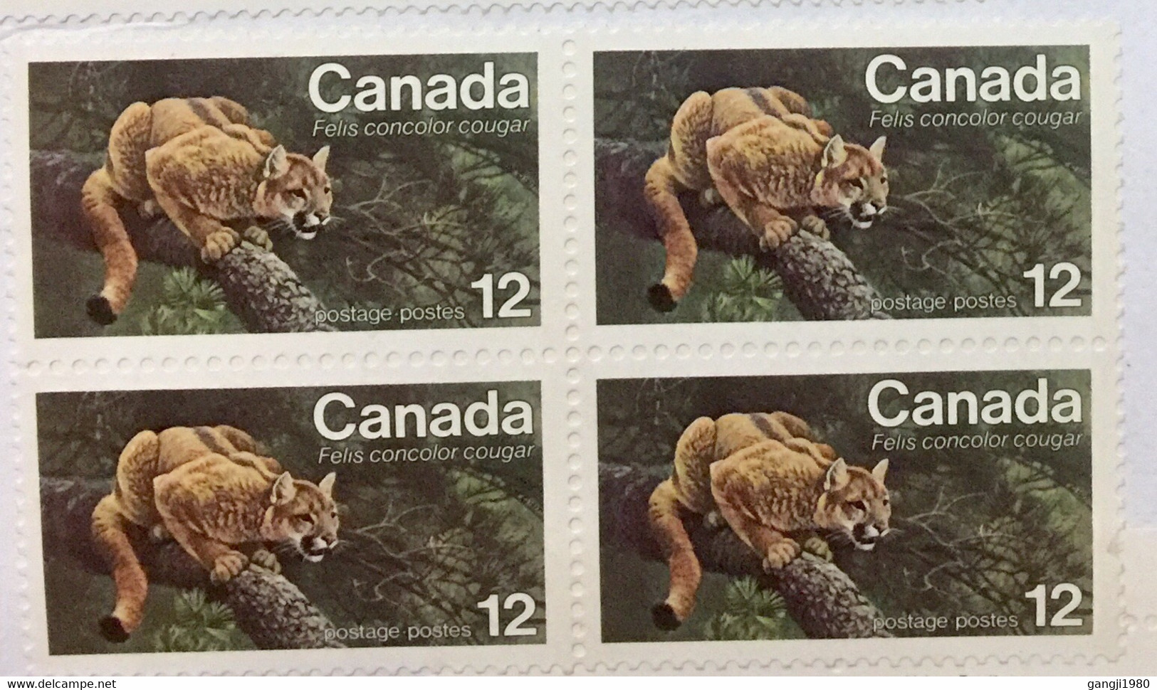CANADA 2020, CORONA VIROES PERIOD 15 STAMPS ON COVER ALL WITHOUT CANCELLATION,ART PAINTING,NATURE ,LEOPARD,ANIMAL,QUEEN, - Cartas & Documentos