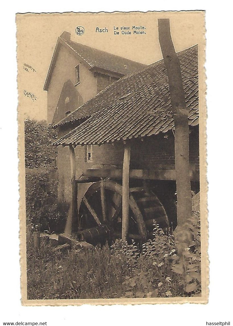 Asch - De Oude Molen - Le Vieux Moulin - As