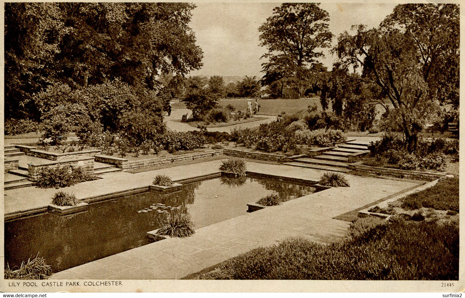 ESSEX - COLCHESTER - LILY POOL, CASTLE PARK Es724 - Colchester