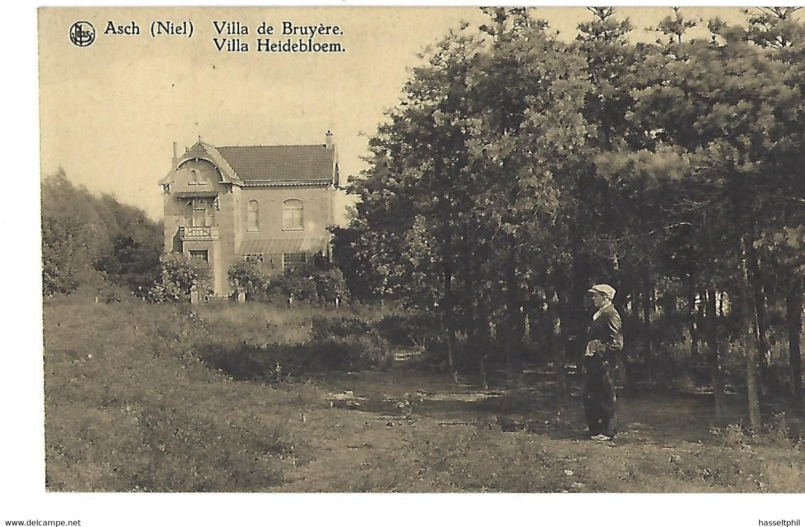 Asch (Niel) Villa De Bruyère - Villa Heidebloem - As