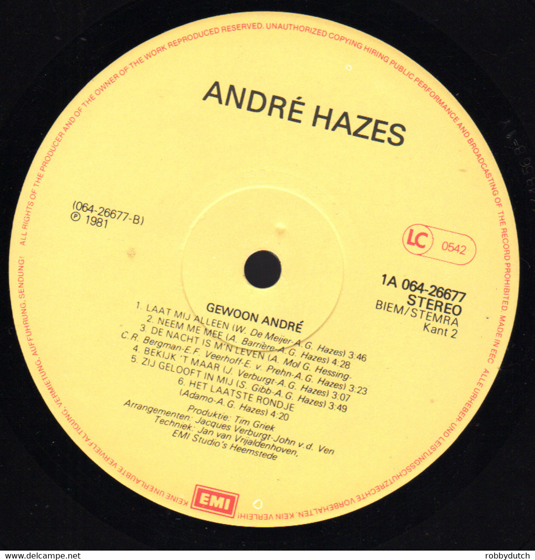 * LP *  ANDRÉ HAZES - GEWOON ANDRÉ (Holland 1981) - Autres - Musique Néerlandaise