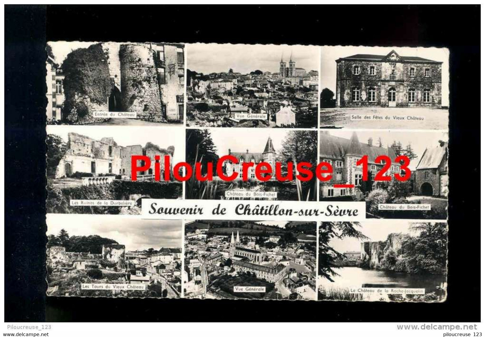 79 Deux Sèvres - CHATILLON Sur SEVRE / MAULEON - " Souvenir De .... - Carte Multivues " - Mauleon