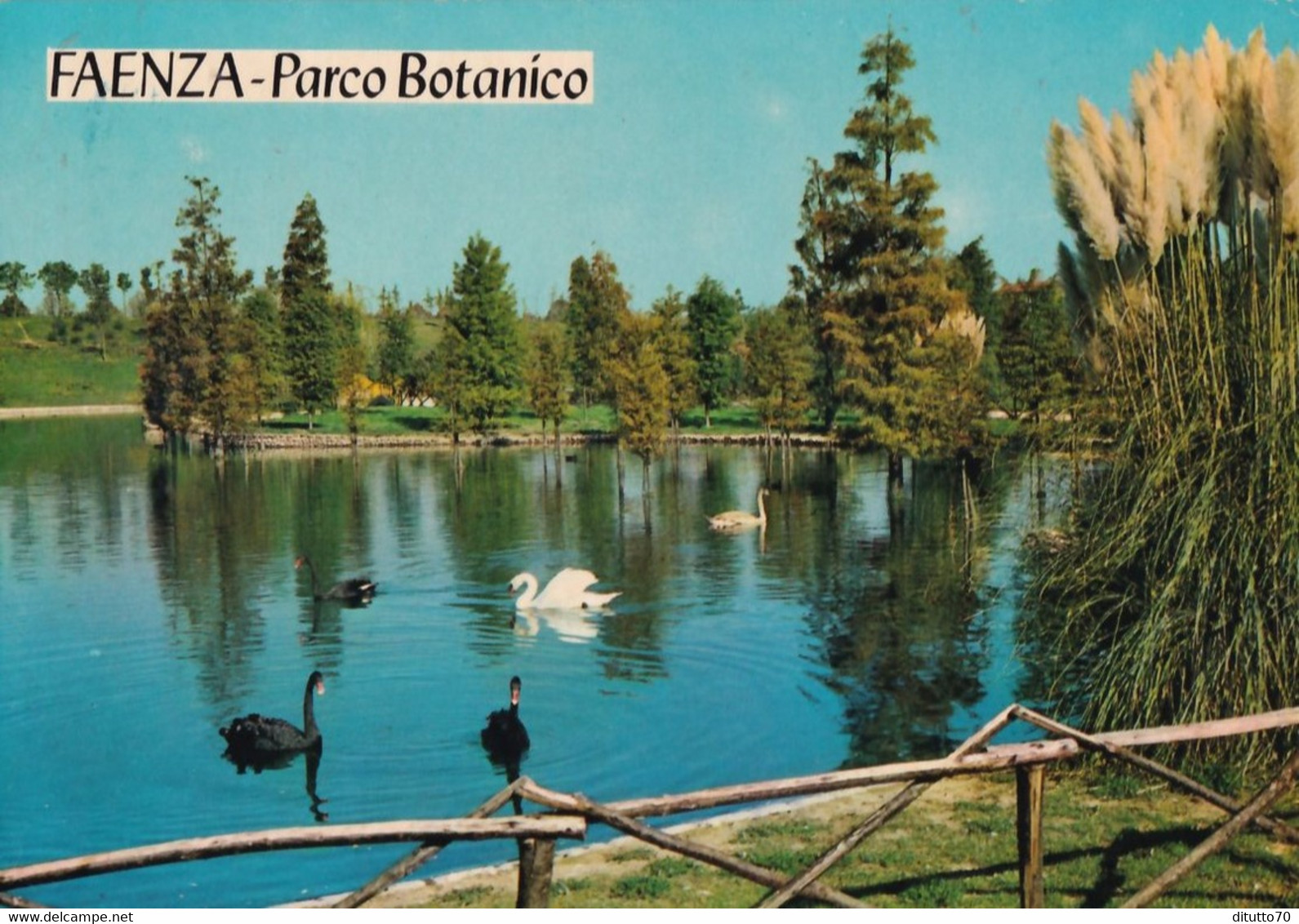 Faenza - Parco Botanico - Formato Grande Non Viaggiata – FE390 - Faenza