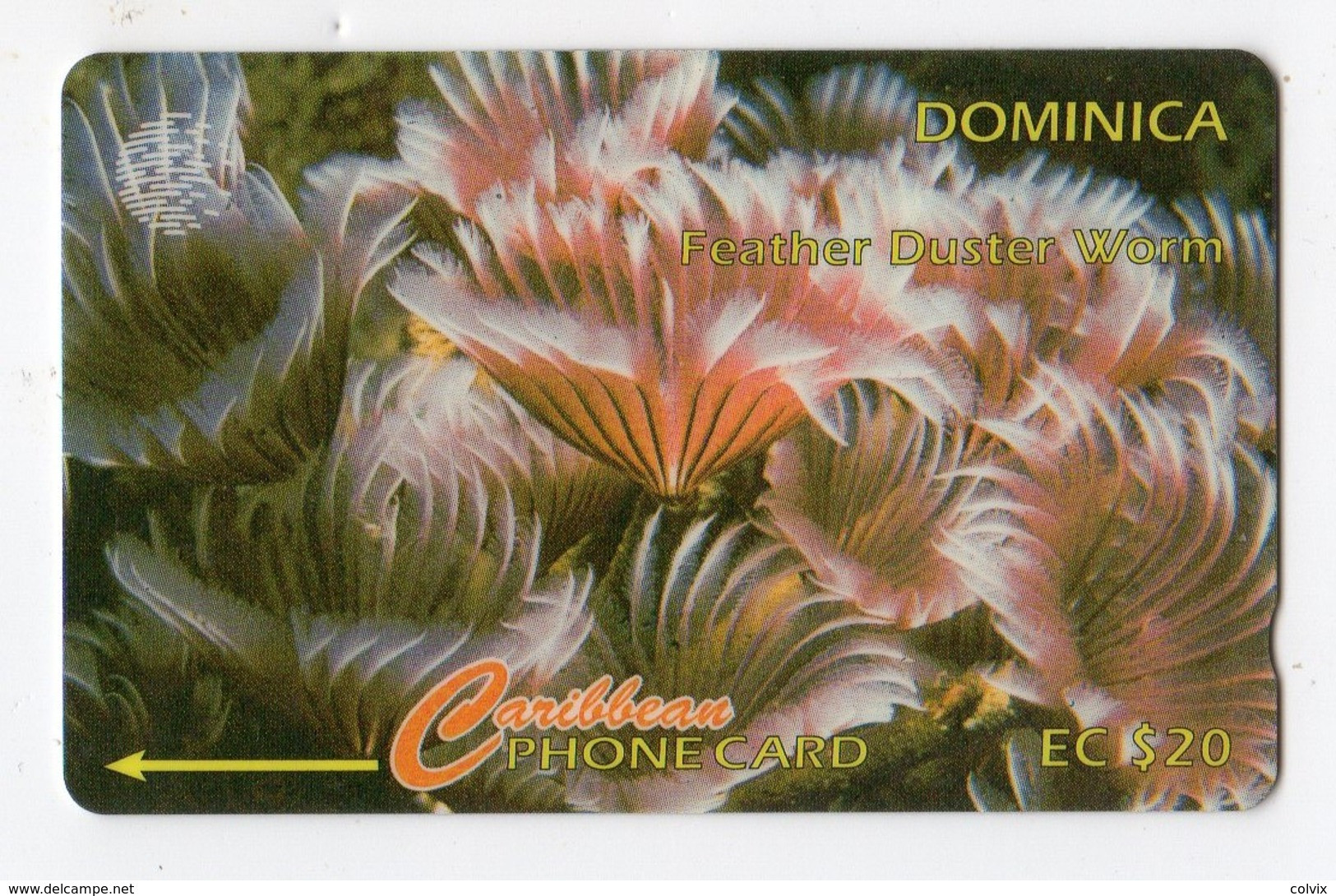 DOMINIQUE REF MV CARDS DOM-9G EC $20 Année 1995 CN 9CDMG Feather Duster Worm - Dominica