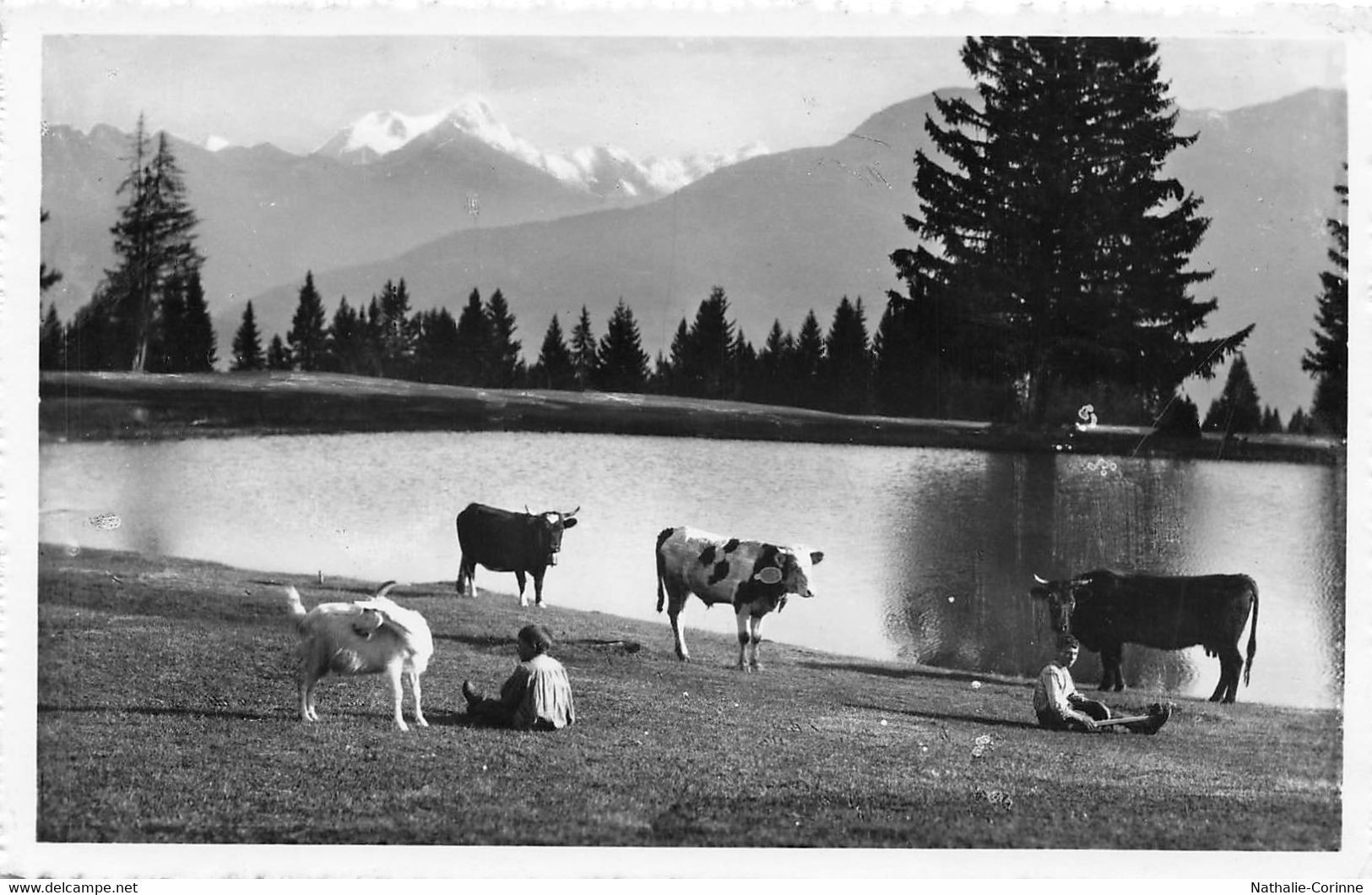 Crans S/ Sierre/Montana- Tous Les Sports D'été Et D'hiver - Valais/ Alpage, Berger, Vache, Chèvre, Alpes, Lac Bleu - Sierre