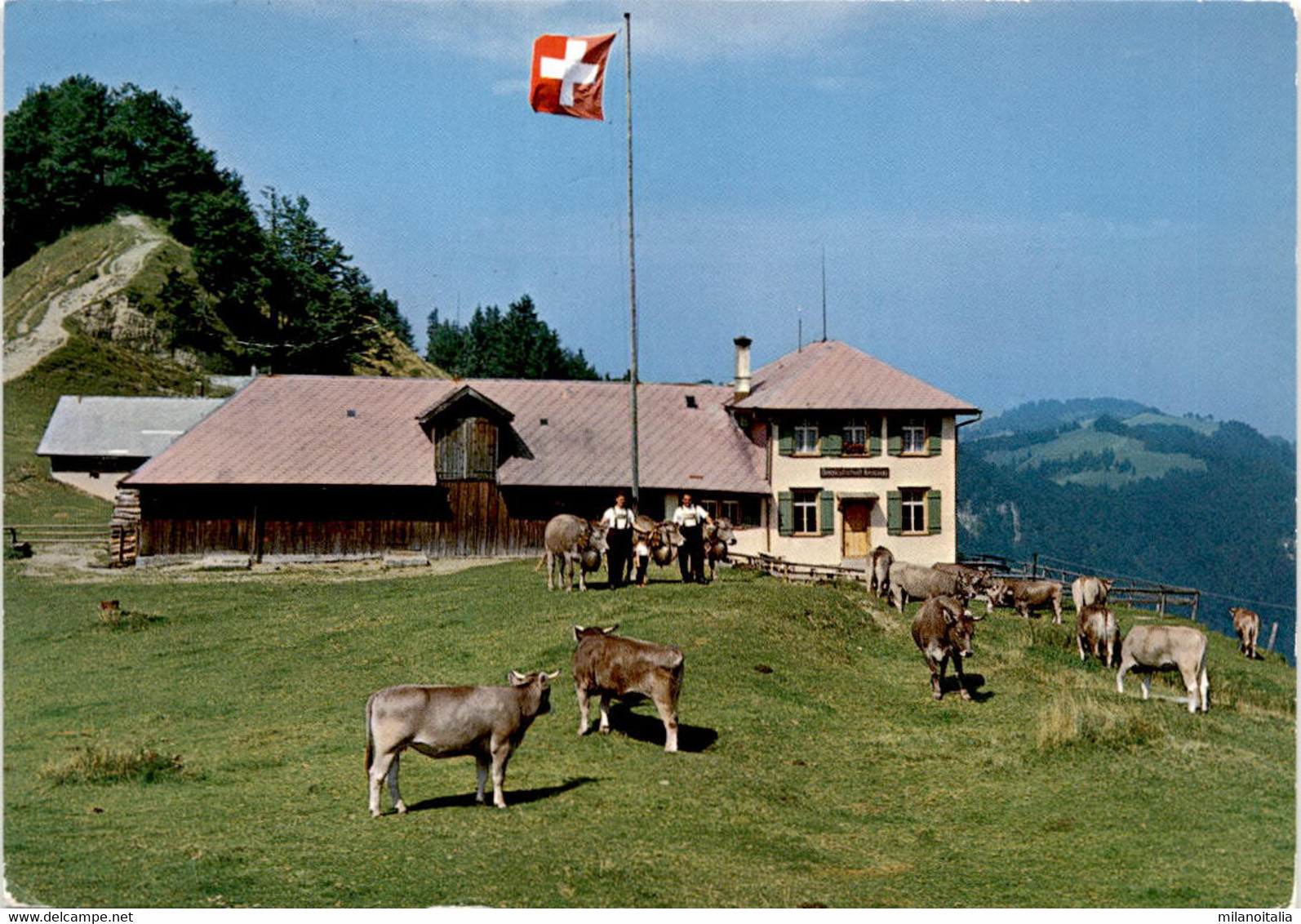 Berggasthaus Kreuzegg - Libingen, Post Wattwil (33660) * 3. 7. 1976 - Wattwil