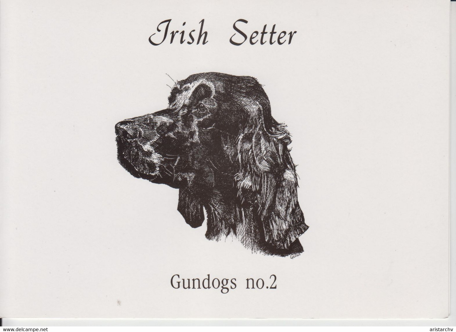 UNITED KINGDOM 1993 IRISH SETTER MINT IN FOLDER - BT Insieme Da Collezione