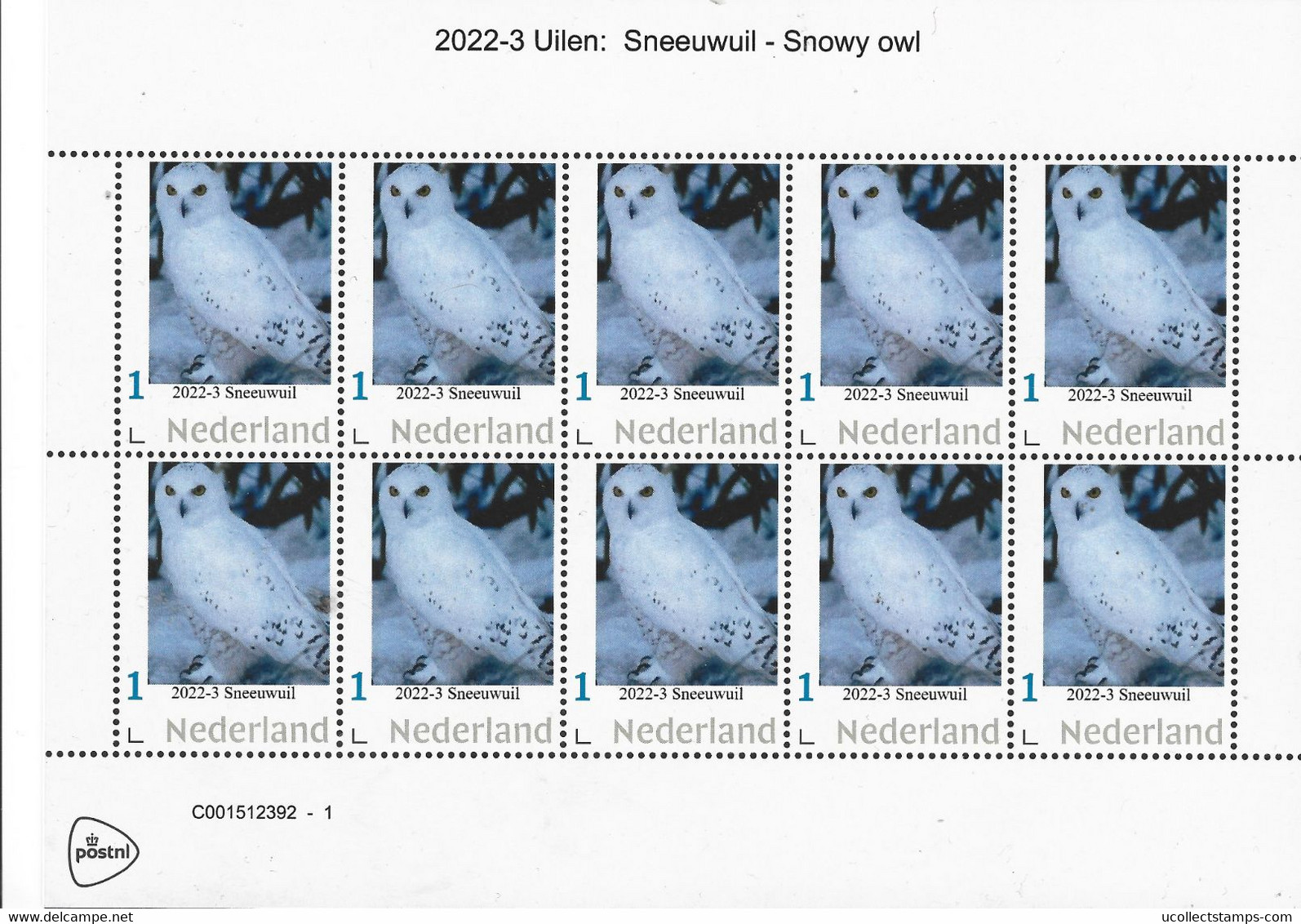 Nederland  2022-3  Uilen Owls : Sneeuwuil  Snowy Owl    Vel-sheetlet   Postfris/mnh/neuf - Ungebraucht