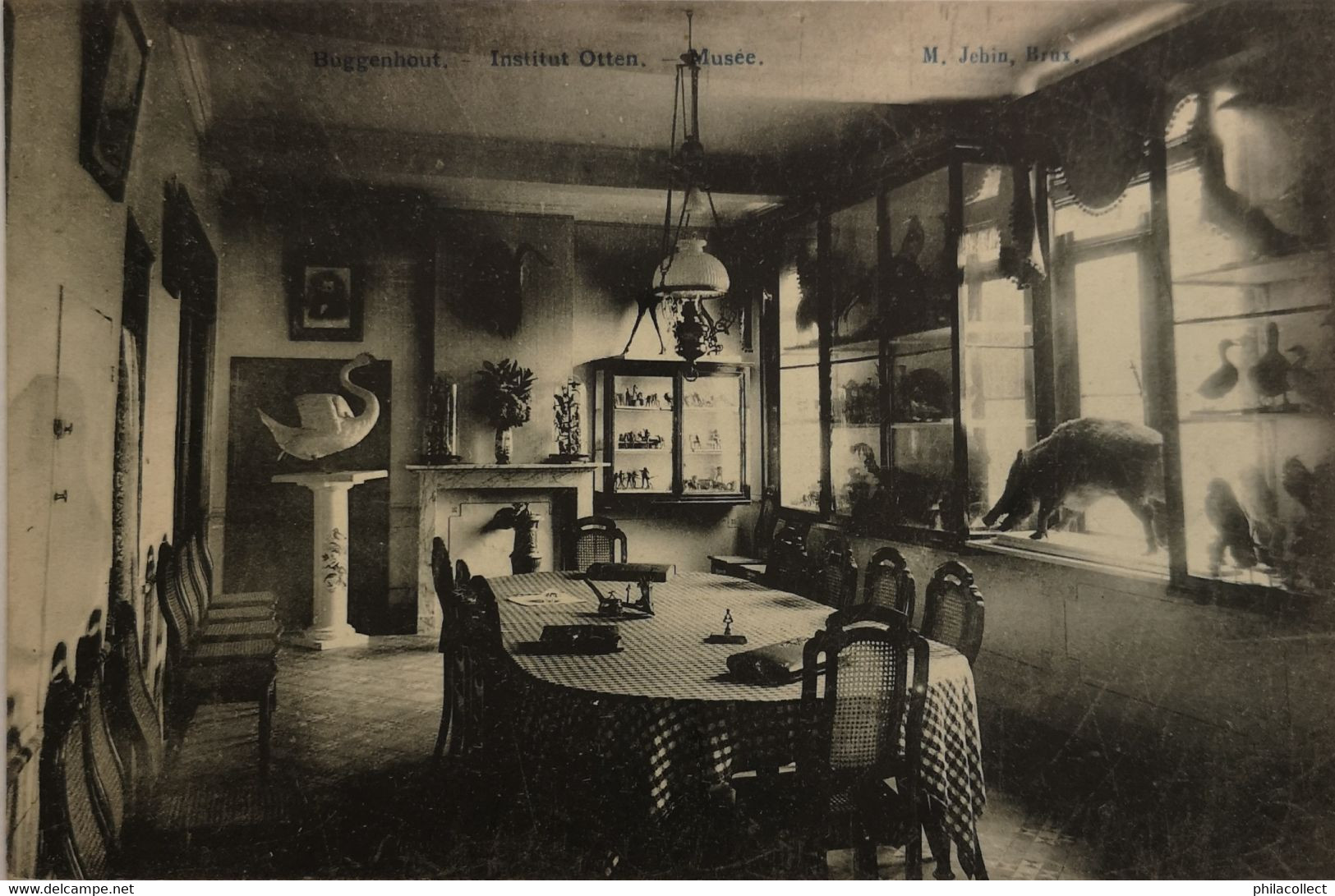 Buggenhout // Institut Otten // Musee 190? - Buggenhout