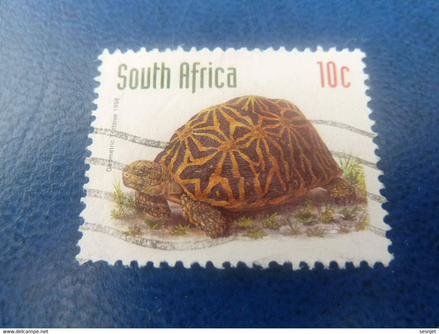 South Africa - Geometric Tortoise - 10c. - Multicolore - Oblitéré - Année 1998 - - Usados