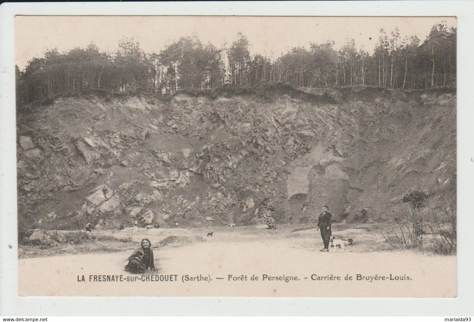 LA FRESNAYE SUR CHEDOUET - SARTHE - FORET DE PERSEIGNE - CARRIERE DE BRUYERE LOUIS - La Fresnaye Sur Chédouet