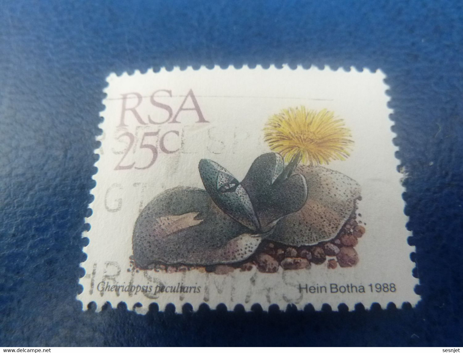 Rsa - Gheridopsis Peculiaris - Hein Botha - 25c. - Multicolore - Oblitéré - Année 1988 - - Gebraucht