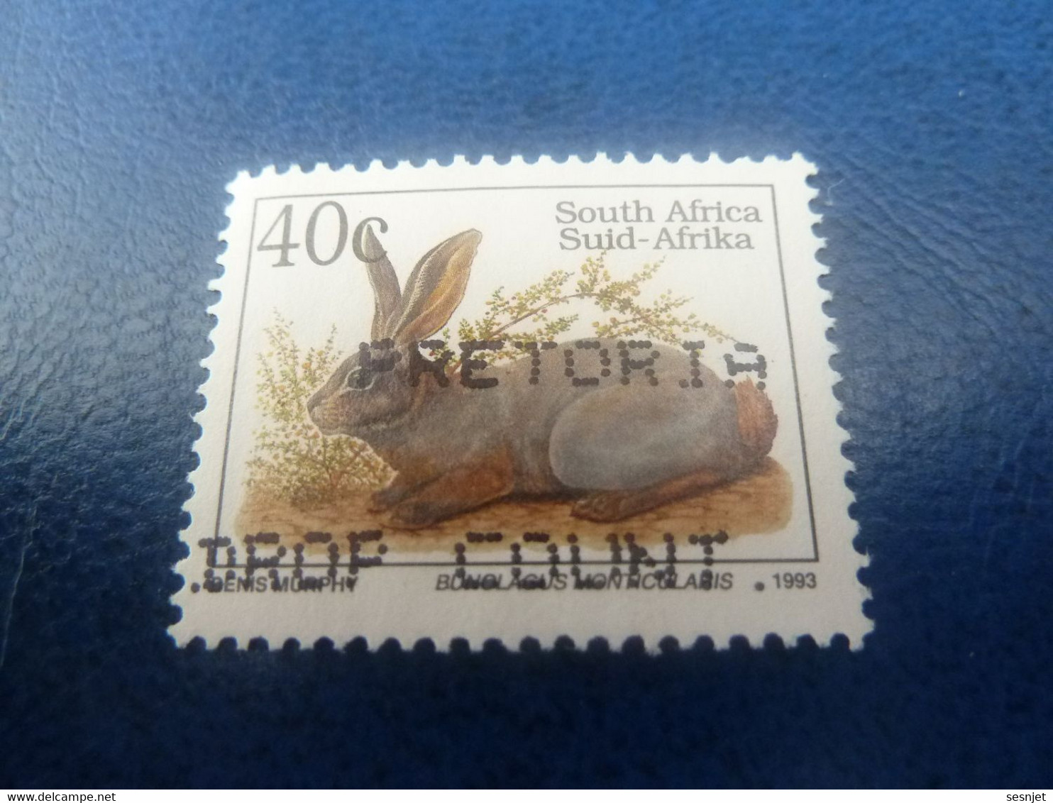 South Africa - Suid-Africa - Bonolacus Monnolaris - 40c. - Multicolore - Oblitéré - Année 1993 - - Usati