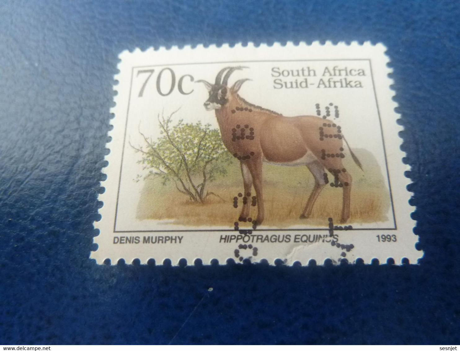 South Africa - Suid-Africa - Hippotrag Equinus - Denis Murphy - 70c. - Multicolore - Oblitéré - Année 1993 - - Usati