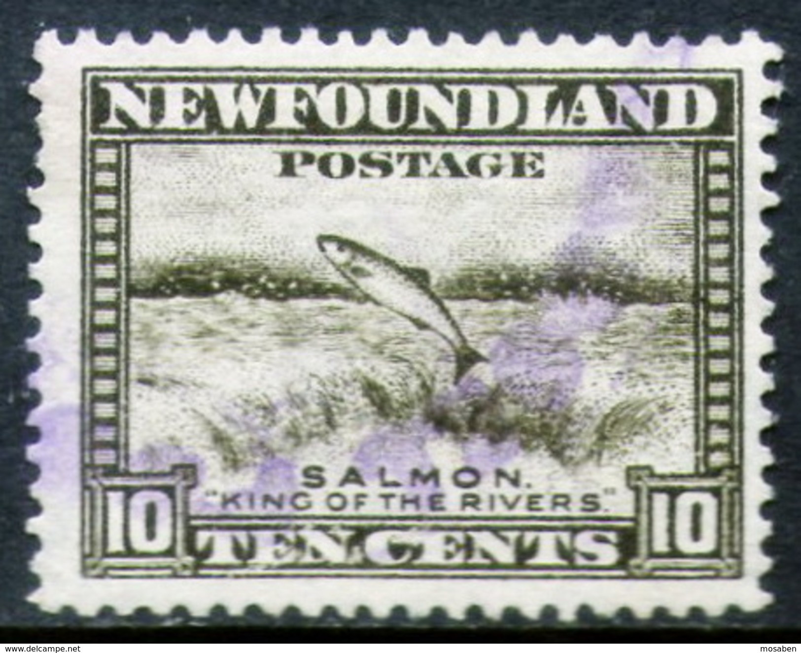 TERRA NOVA	-	Yv. 179	-			TER-6924 B - 1857-1861