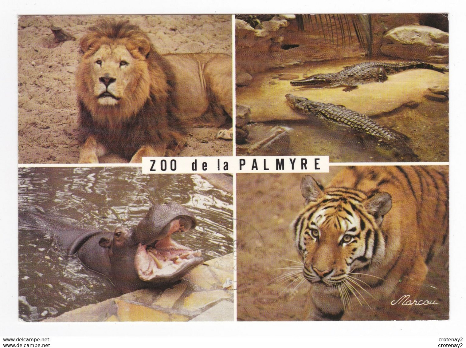 17 ZOO De La Palmyre Vers Les Mathes Lion Crocodiles Hippopotame Tigre En 1987 - Hippopotamuses