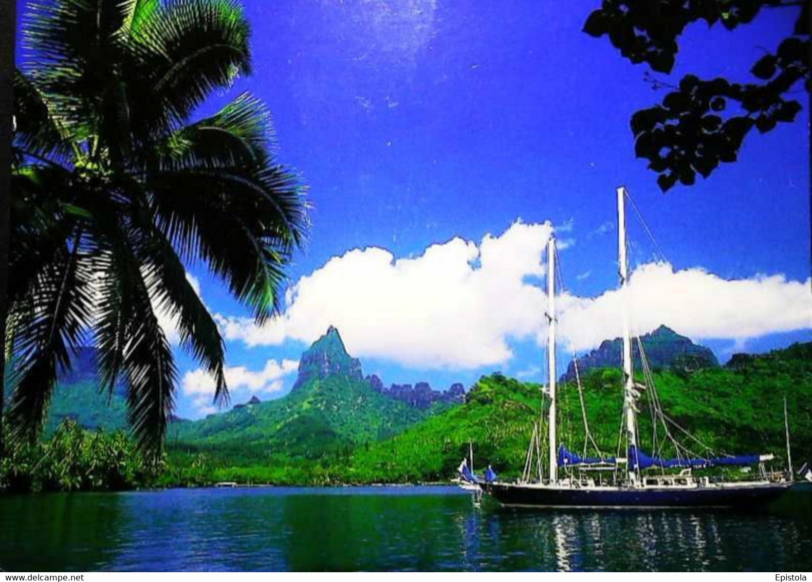 ► POLYNESIE FRANCAISE -  Baie Opunohu Bay In Moorea -  Bateau De Plaisance - Polynésie Française
