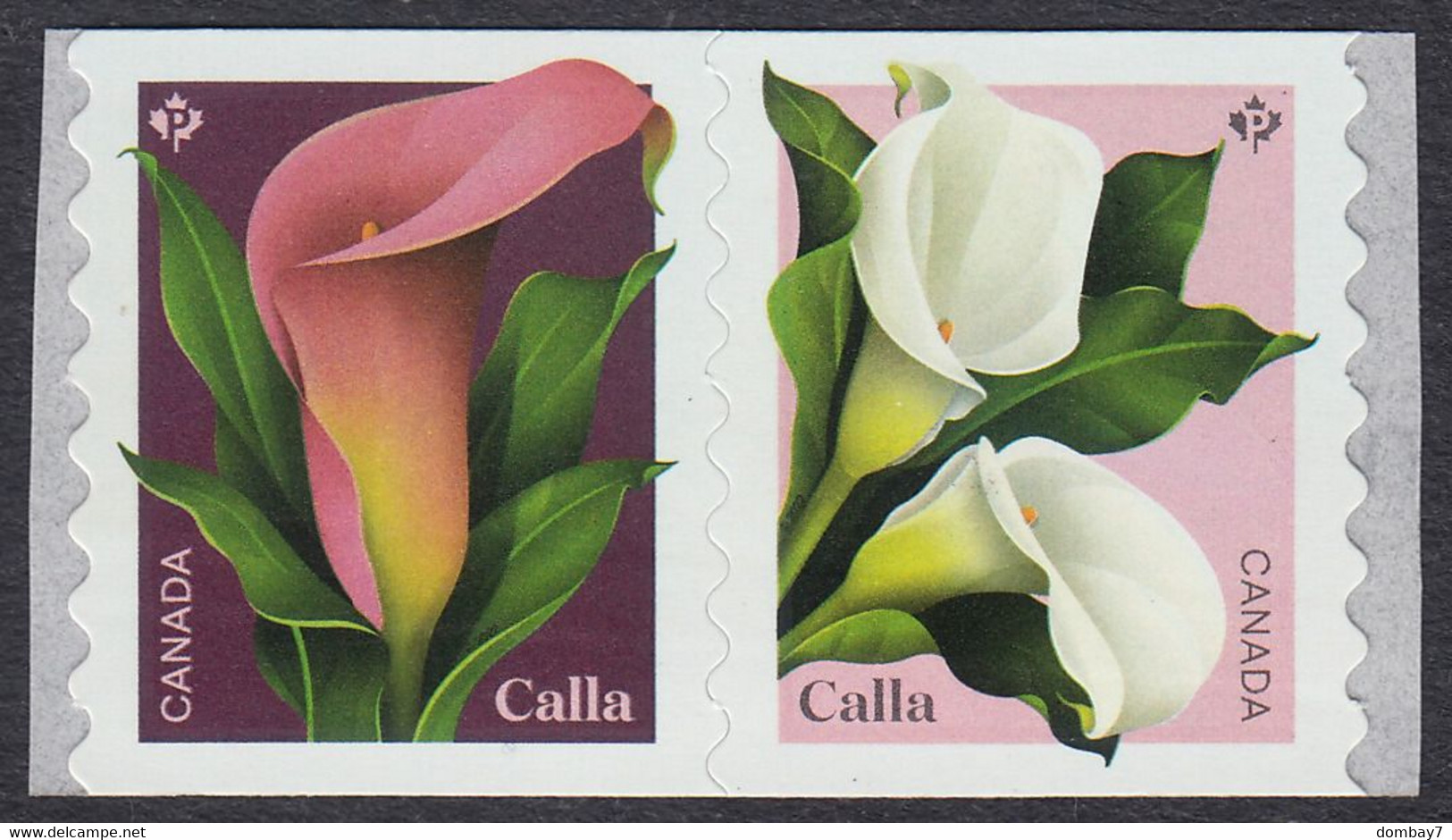 Qc. CALLA Flowers = Pair Of Coil Stamps -Type 2, (Pink -> White) MNH Canada 2022 - Ungebraucht