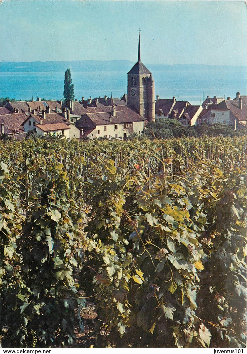 CPSM Dans Les Vignes De St-Blaise       L1304 - Saint-Blaise