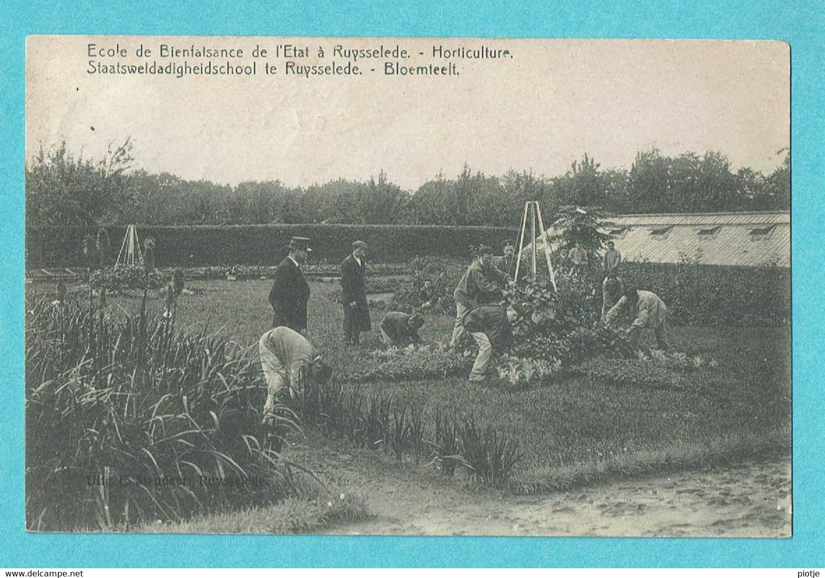 * Ruiselede - Ruysselede * (Uitg César Standaert) école De Bienfaisance, Horticulture, Bloemteelt, Jardin, Unique, TOP - Ruiselede