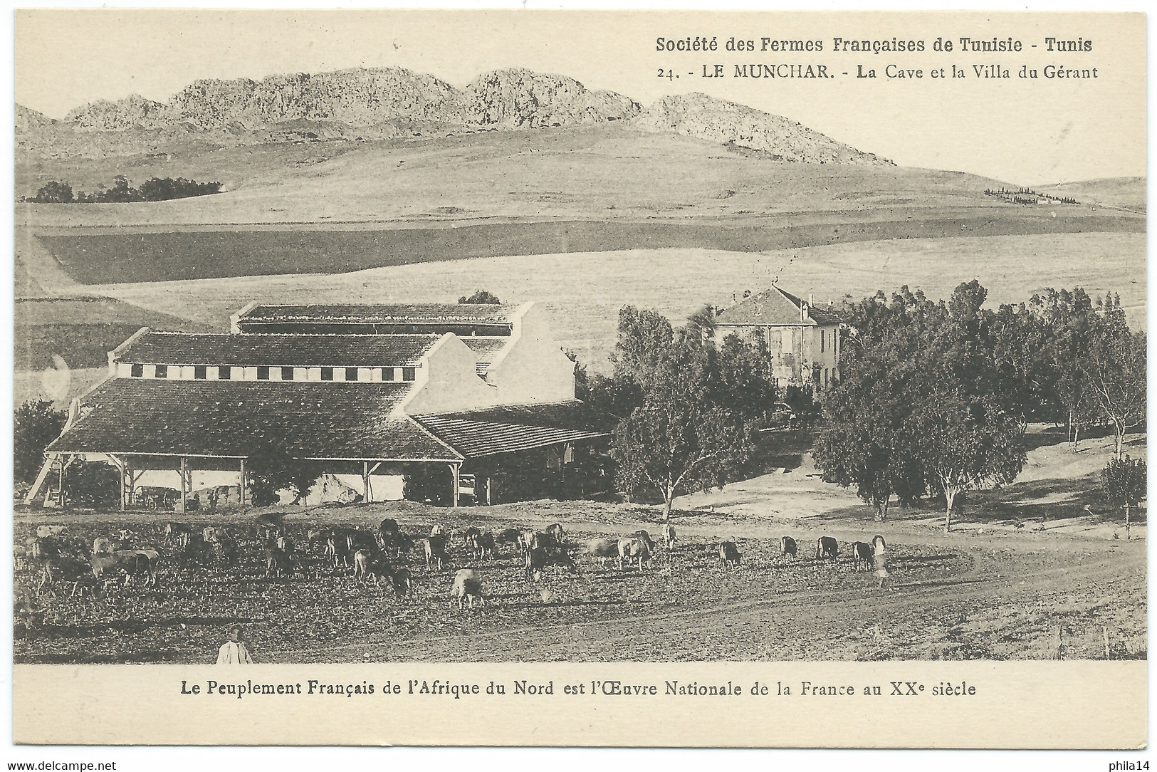 CPA SOCIETE DES FERMES FRANCAISES DE TUNISIE / LE MUNCHAR / CAVE ET LA VILLA DU GUERANT - Tunisia