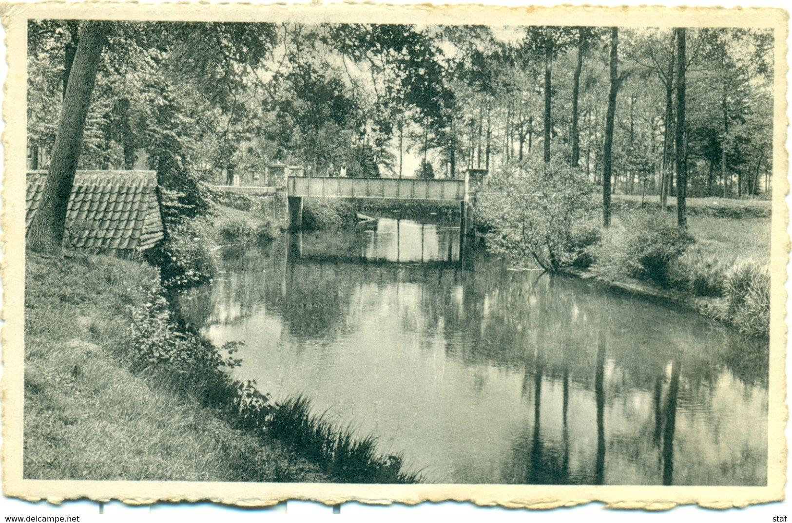 Kasterlee - Zicht Der Nethe : 1951 - Kasterlee