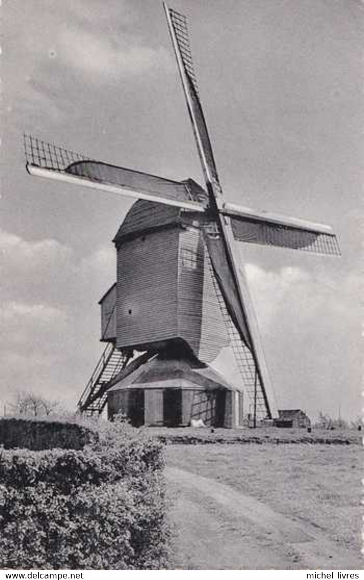 Tessenderlo - Oude Molen - Moulin - Circulé - Nels - TBE - Tessenderlo