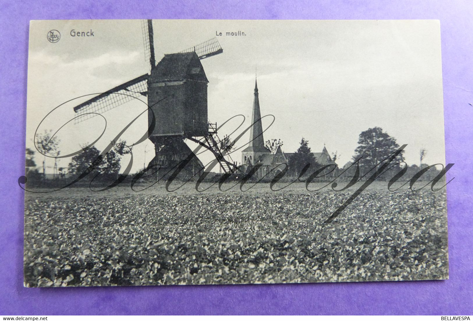 Genk Molen Windmolen. Moulin A Vent - Genk