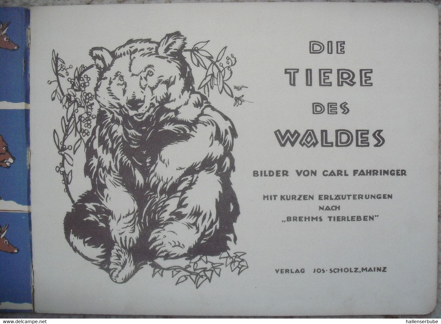 Die Tiere Des Waldes * Carl Fahringer * Verlag Jos. Scholz, Mainz 1927 - Prentboeken