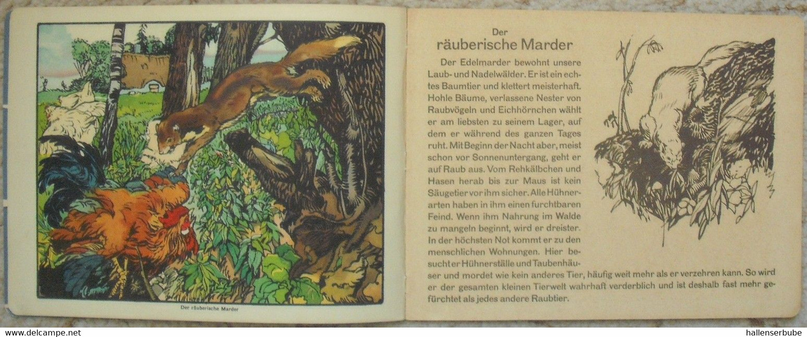 Die Tiere Des Waldes * Carl Fahringer * Verlag Jos. Scholz, Mainz 1927 - Bilderbücher