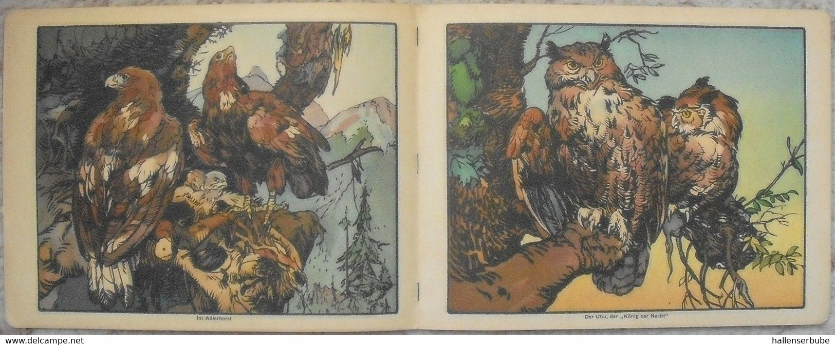 Die Tiere des Waldes * Carl Fahringer * Verlag Jos. Scholz, Mainz 1927