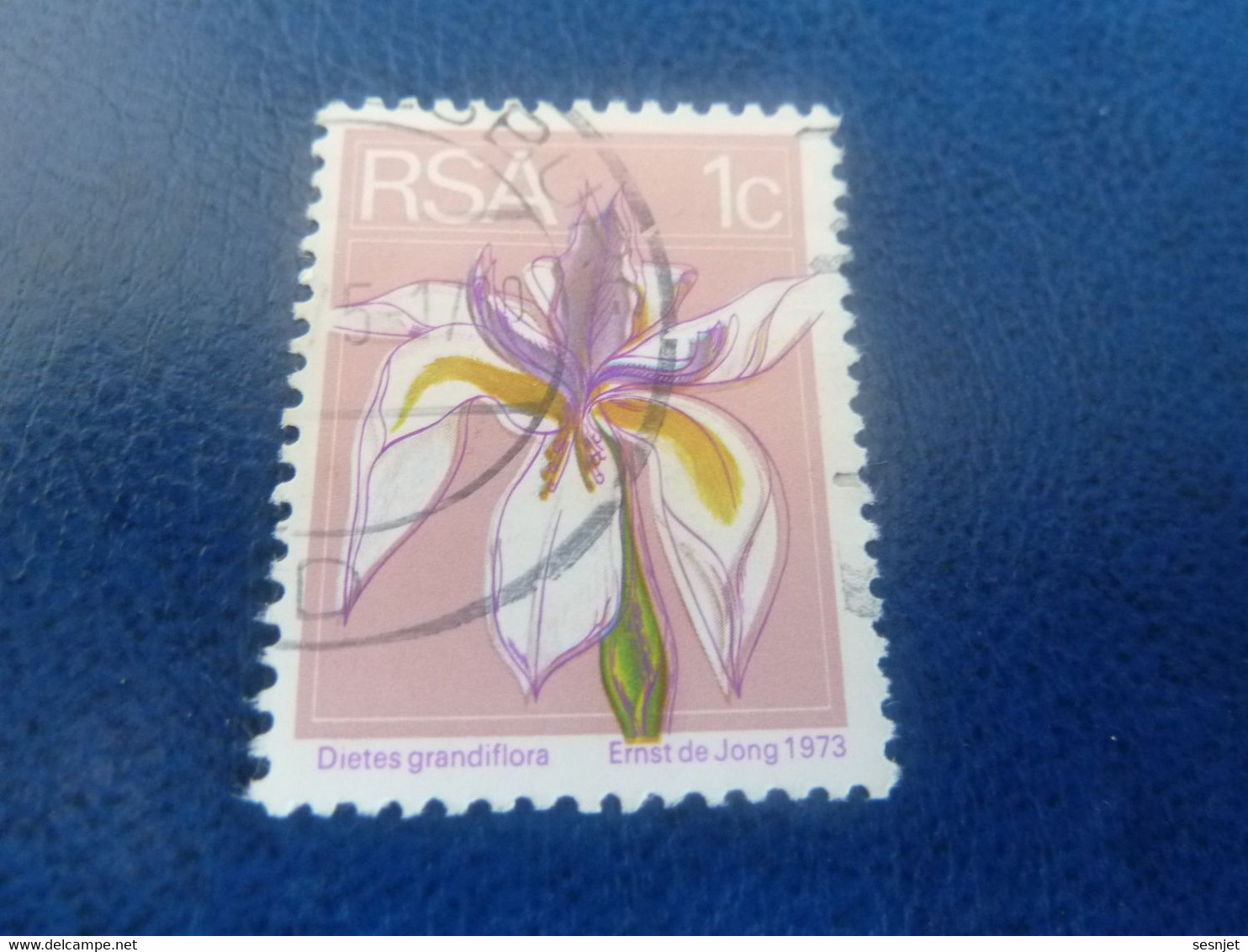 Rsa - Dietes Grandiflora - Ernst De Jong - 1 C. - Multicolore - Oblitéré - Année 1973 - - Usati