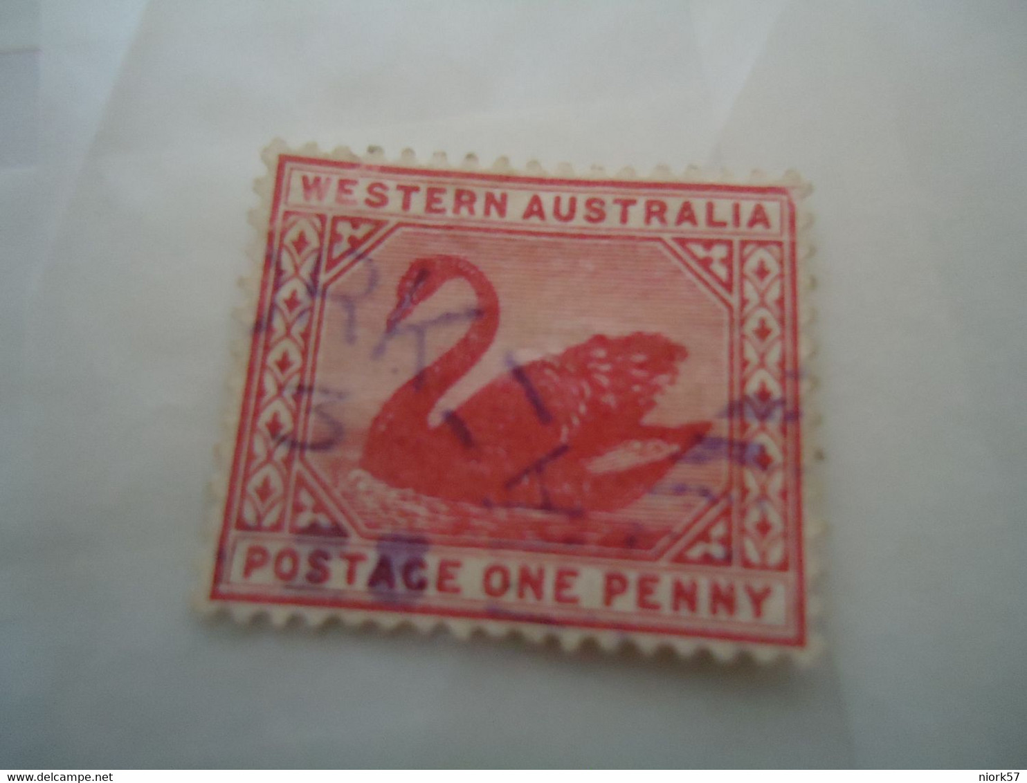 WESTERN   AUSTRALIA   USED STAMPS  BIRD BIRDS  SWAN - Otros & Sin Clasificación