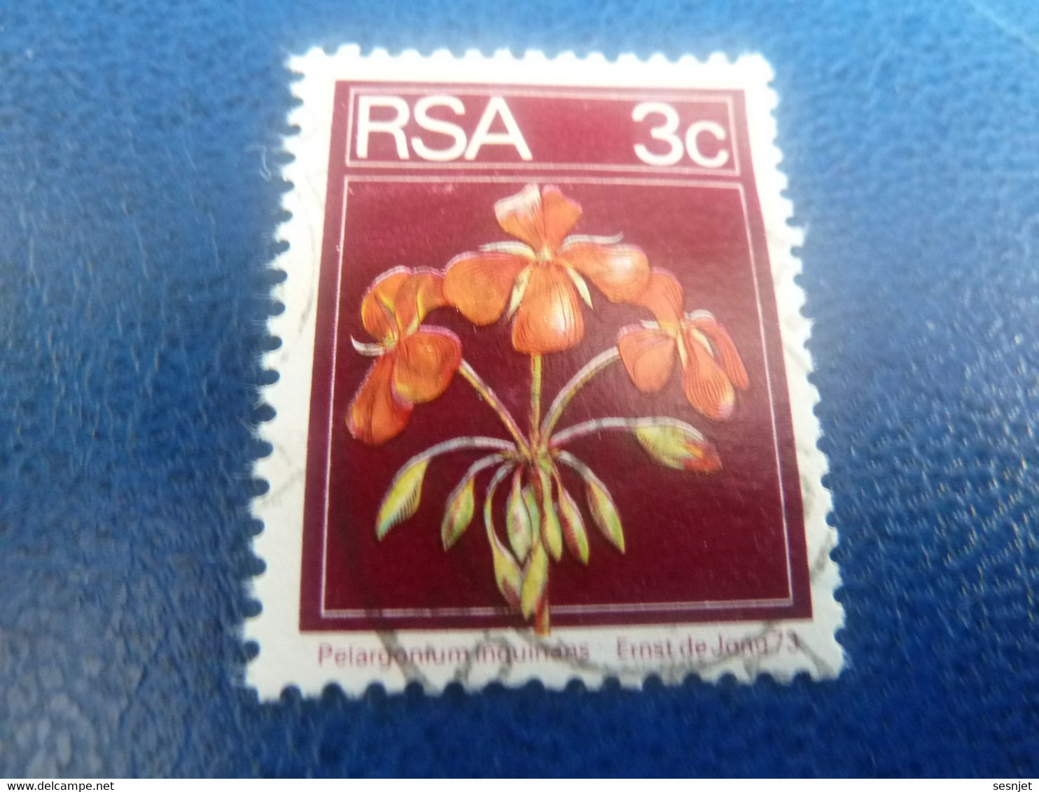 Rsa - Pelargoniuminquinans - 3 C. - Multicolore - Oblitéré - Année 1973 - - Gebraucht