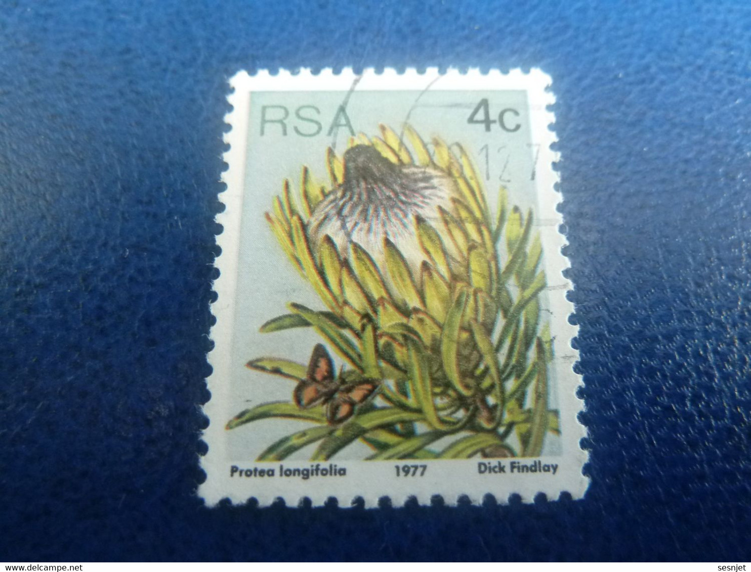 Rsa - Protea Punctata - Dick Findlay - 4 C. - Multicolore - Oblitéré - Année 1977 - - Used Stamps