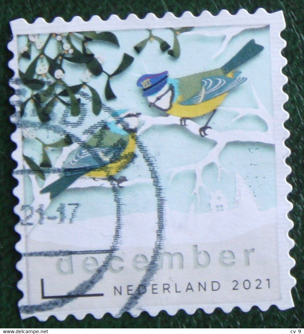 Decemberzegel Weihnachten Christmas Noel NVPH ? (Mi ?) 2021 Gestempeld / USED NEDERLAND / NIEDERLANDE - Oblitérés