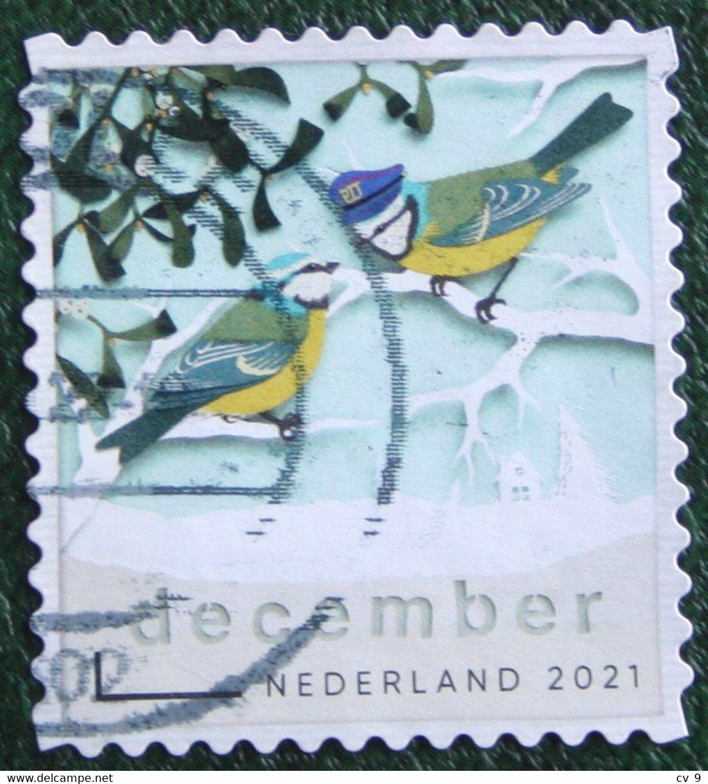 Decemberzegel Weihnachten Christmas Noel NVPH ? (Mi ?) 2021 Gestempeld / USED NEDERLAND / NIEDERLANDE - Usados