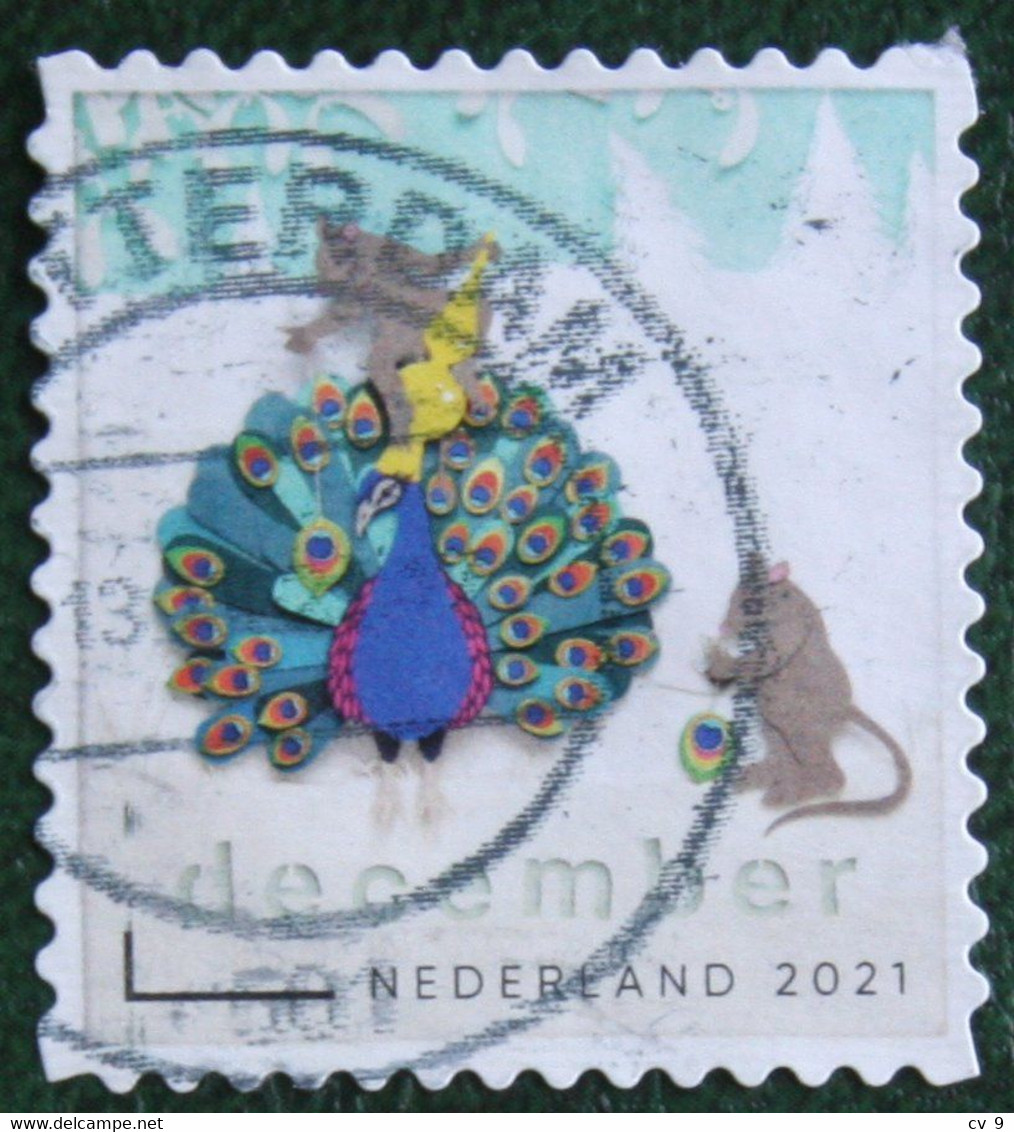 Decemberzegel Weihnachten Christmas Noel NVPH ? (Mi ?) 2021 Gestempeld / USED NEDERLAND / NIEDERLANDE - Gebraucht