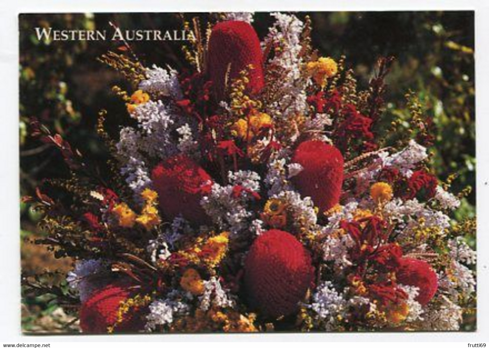 AK 040259 AUSTRALIA - Wildflowers - Andere & Zonder Classificatie