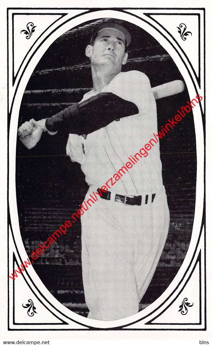 Ted Williams  - Baseball Postcard - Autres & Non Classés