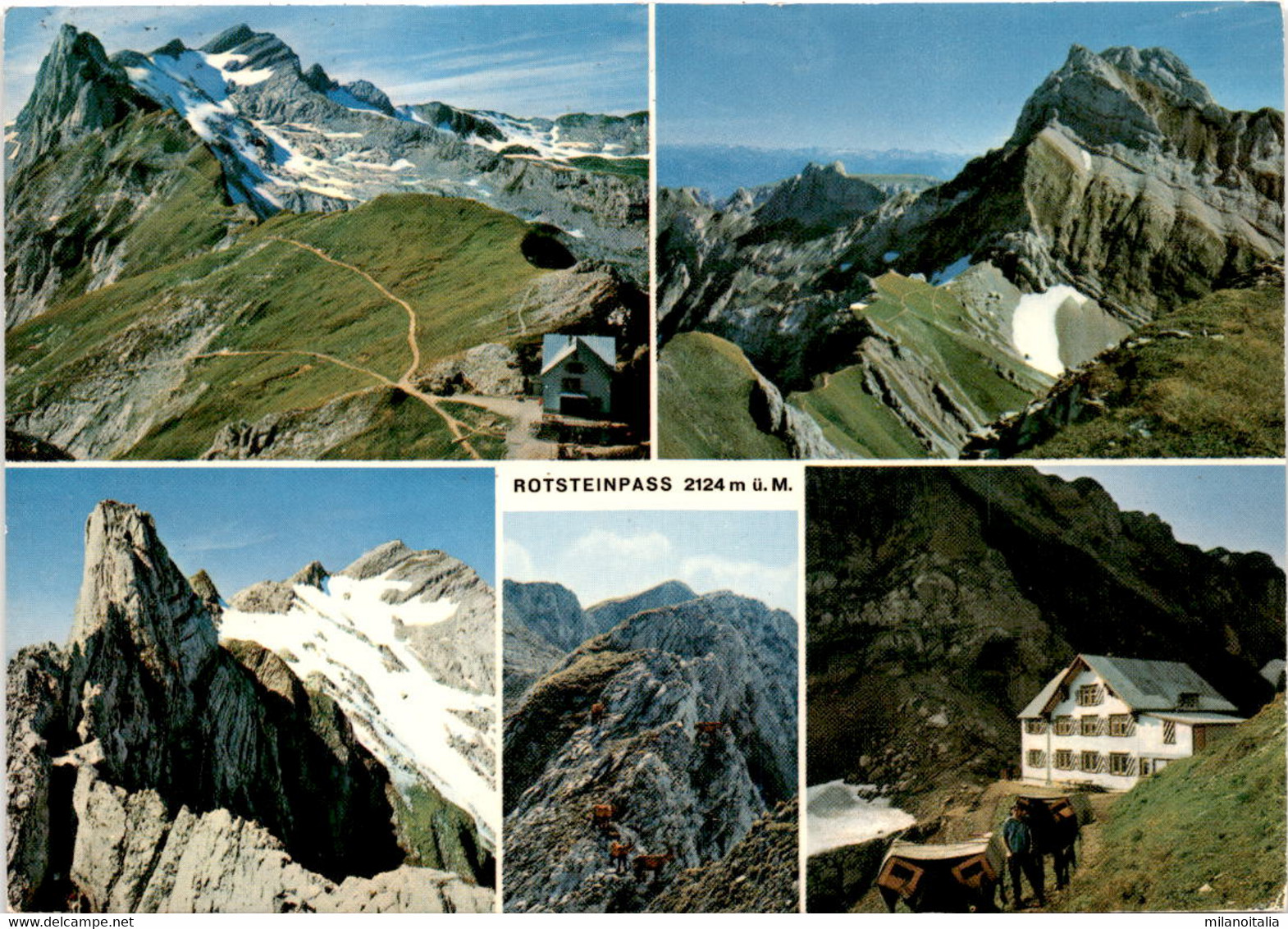 Berggasthaus Rotsteinpass - Weissbad - 5 Bilder (35040) * 2. 8. 1974 - Weissbad 