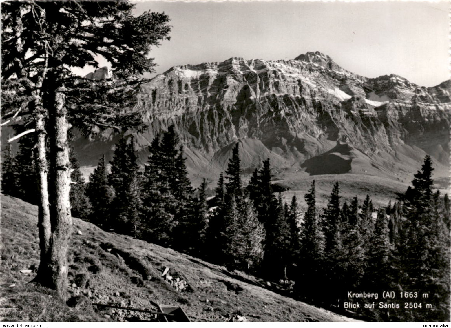 Kronberg - Blick Auf Säntis (013000) * 19. 8. 1965 - Kronberg