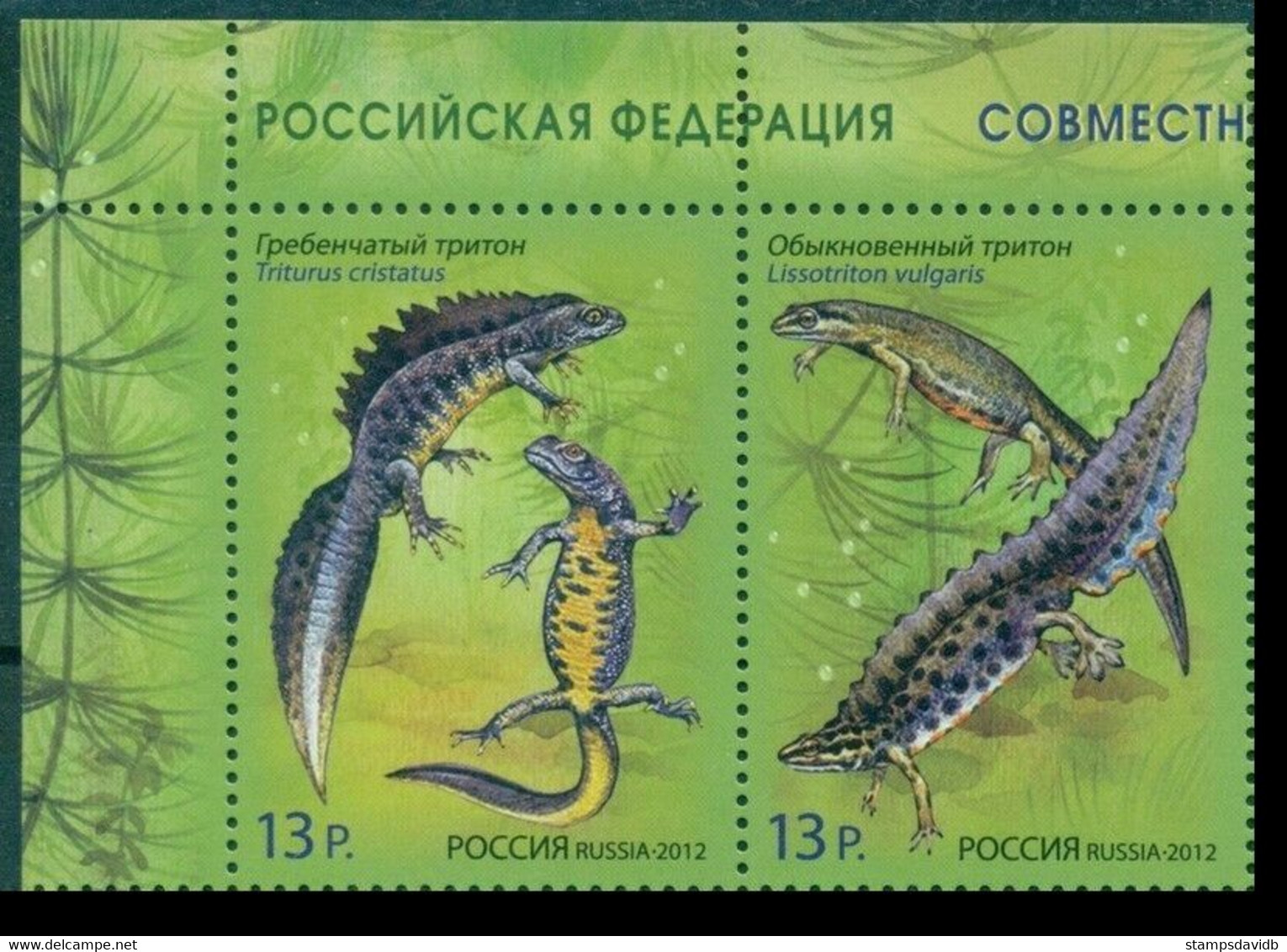 2012 Russia 1831-1832Paar Fauna Joint Issue Of Russia And Belarus. 2,80 € - Ungebraucht