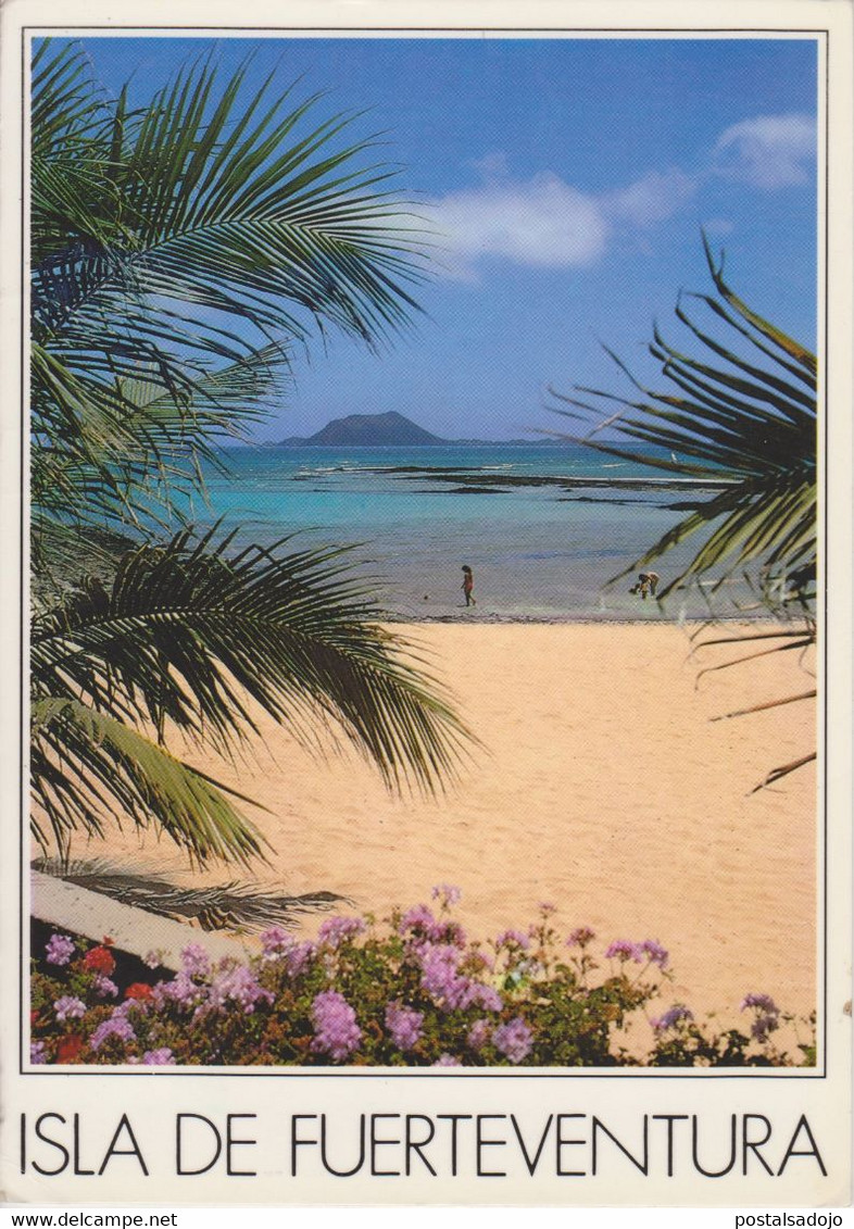 (CANA1750) FUERTEVENTURA. CORRALEJO - Fuerteventura