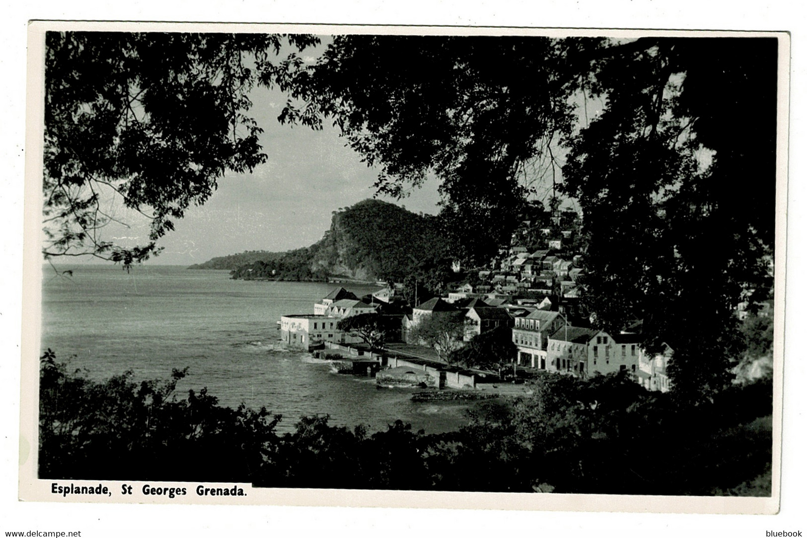 Ref 1528 - Real Photo Postcard - Esplanade - St Georges Grenada - West Indies - Grenada