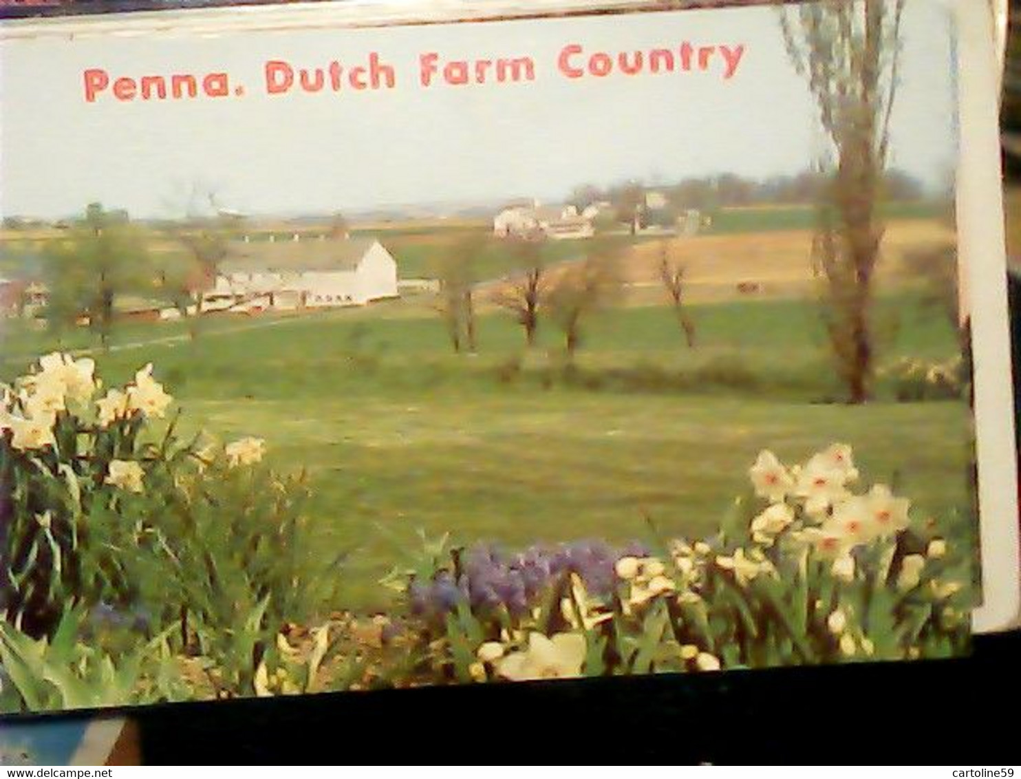 USA - PENNA - THE DUTCH COUNTRY - AMISH MEN PEOPLE AT PUBLIC FARM V1980 IO6356 - Lancaster